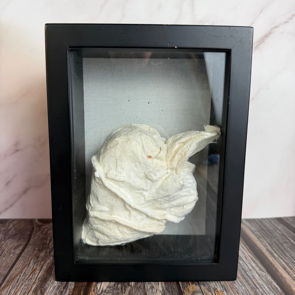 Paper Mache Anatomical Heart Shadow Box Hair Compartment Gothic Oddities Art